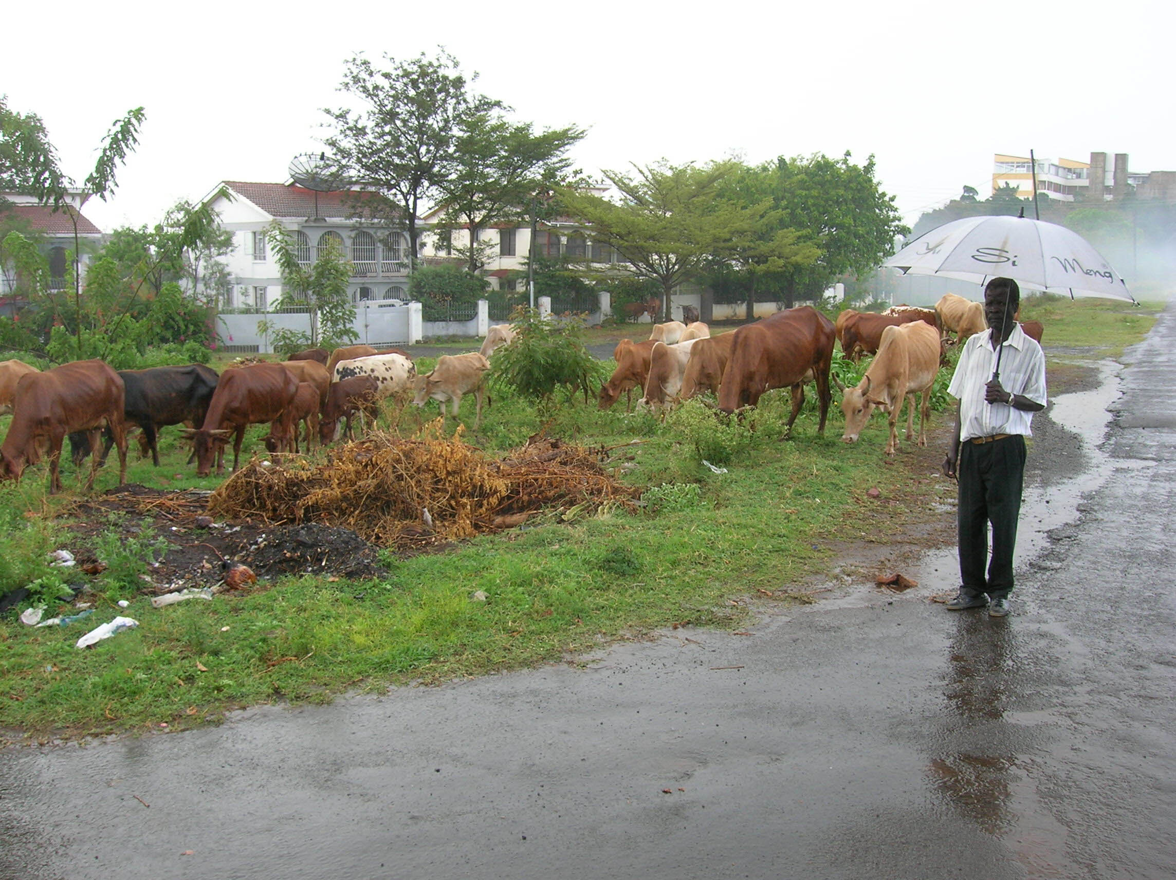 Kanamai_wgyf_web_2005-0460.jpg