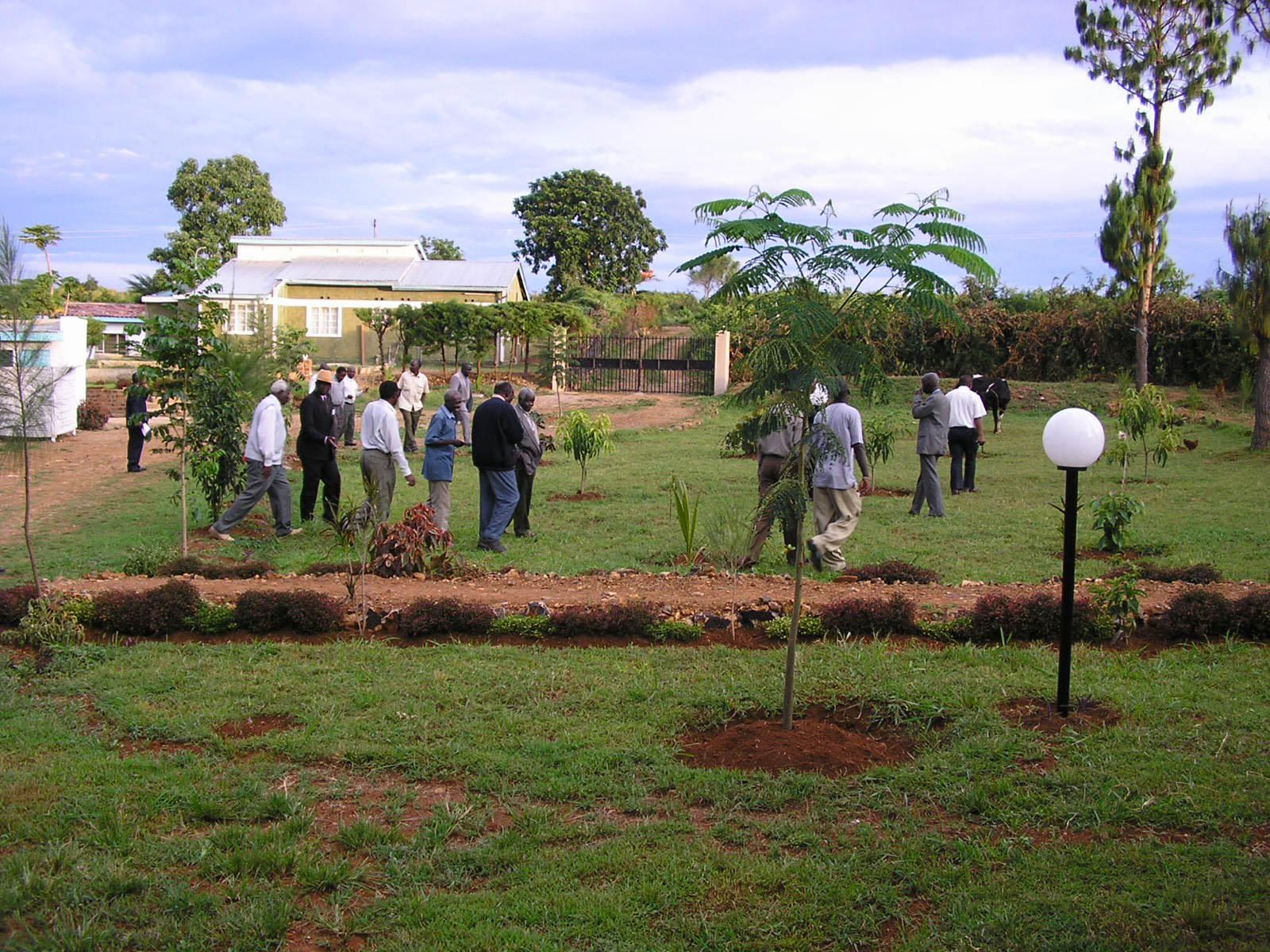 Kanamai_wgyf_web_2005-2-19.jpg