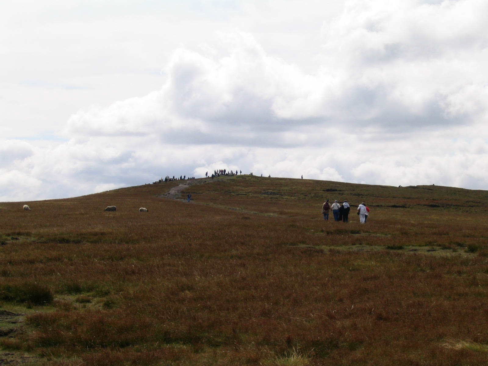 Lancaster_wgyf_web_2005-132.jpg